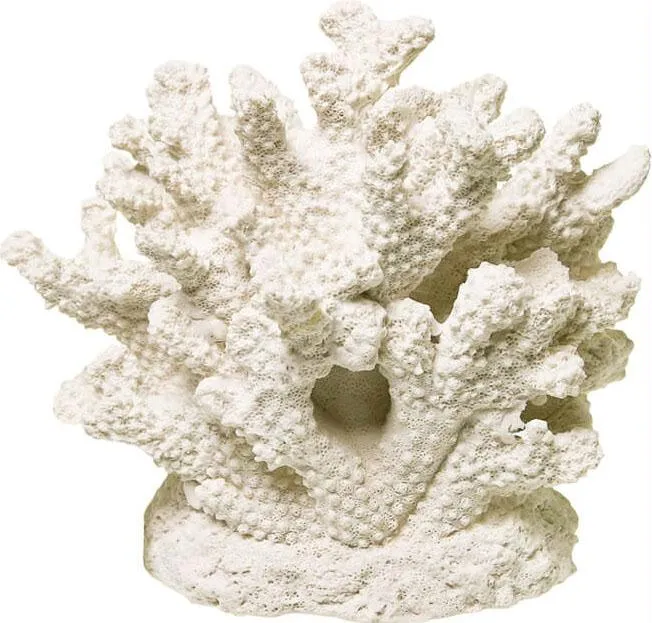 Branch Coral Centerpiece