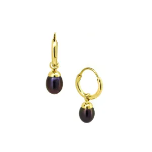 Eternal Summer Midnight Earrings Gold