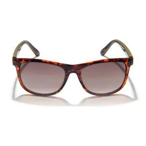 Gidgee Eyes Fender Amber Tort Sunglasses