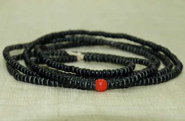 Jet Black 10º Seed Beads with random Coral Color Bead