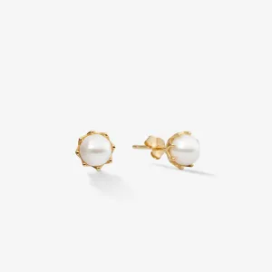 PEARL STUDS EARRINGS Gold